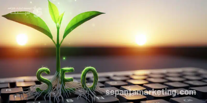 سئو سایت های تازه تاسیس